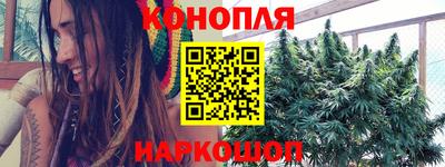 спайс Шелехов