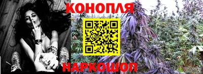 тгк Шахты