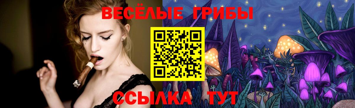 Галлюциногенные грибы мухоморы  Псилоцибиновые грибы мицелий  Елец  Вход с VPN 